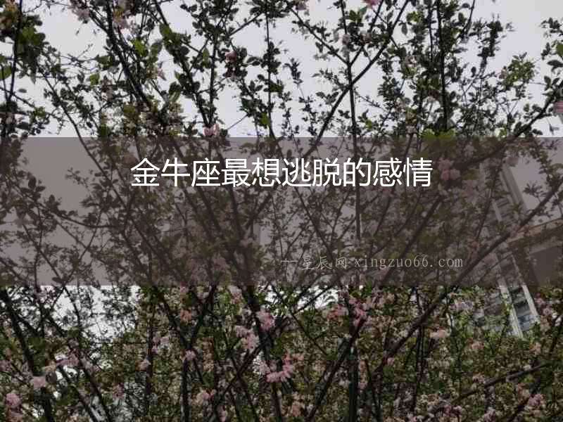 金牛座最想逃脫的感情