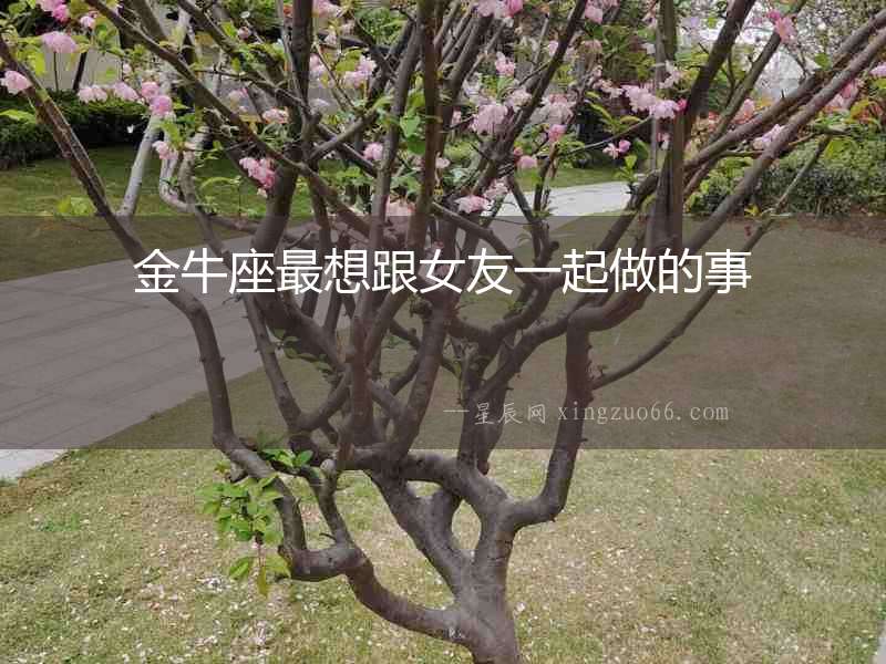 金牛座最想跟女友一起做的事