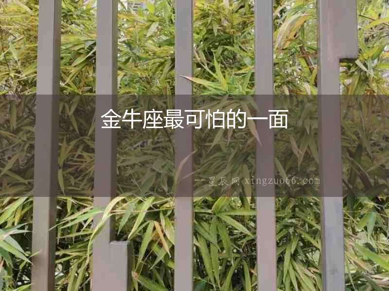 金牛座最可怕的一面
