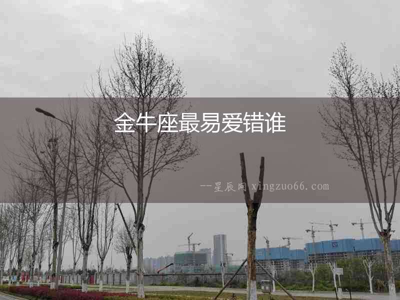 金牛座最易愛錯誰