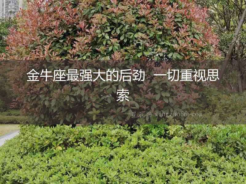 金牛座最強大的后勁  一切重視思索