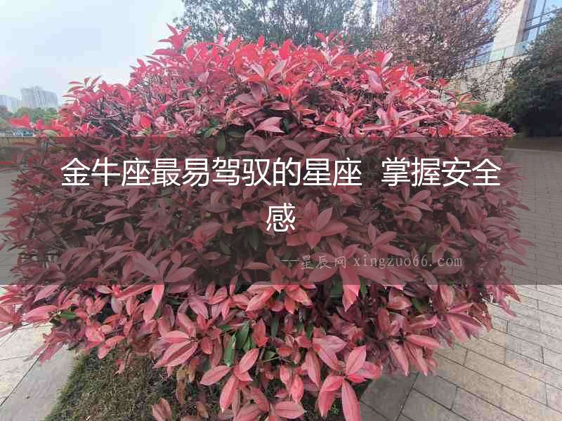 金牛座最易駕馭的星座  掌握安全感