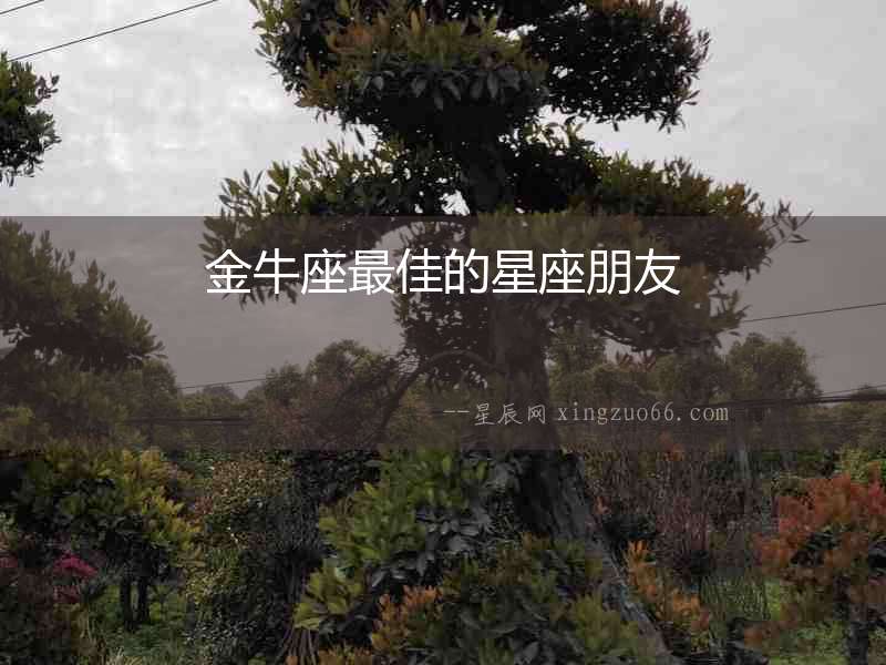 金牛座最佳的星座朋友