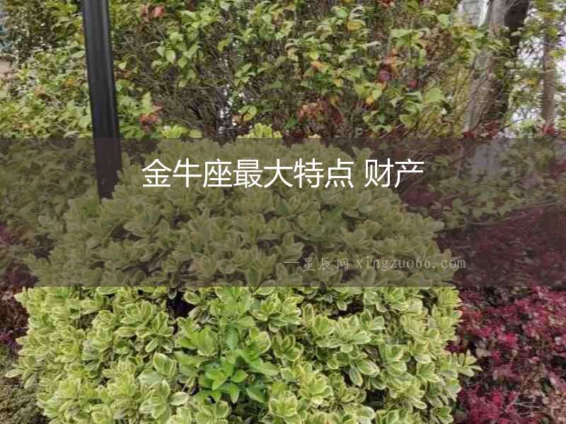 金牛座最大特點 財產