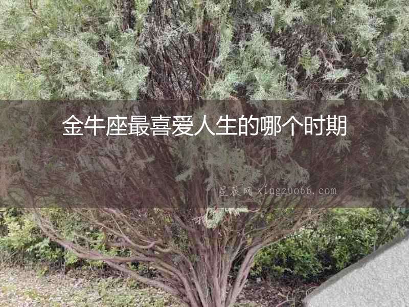 金牛座最喜愛人生的哪個時期