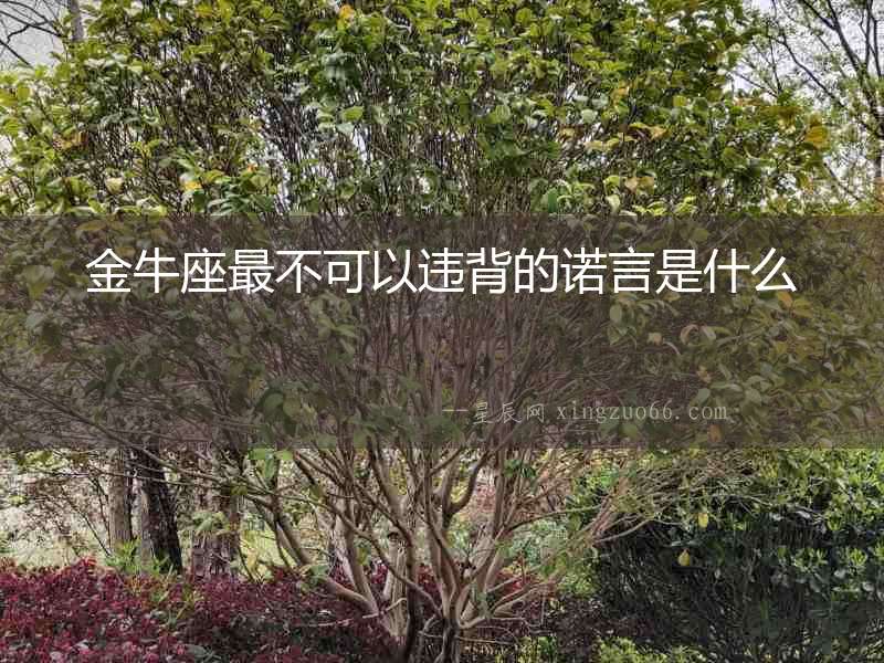 金牛座最不可以違背的諾言是什么
