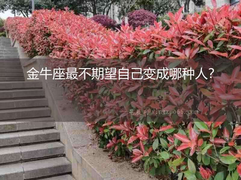 金牛座最不期望自己變成哪種人？