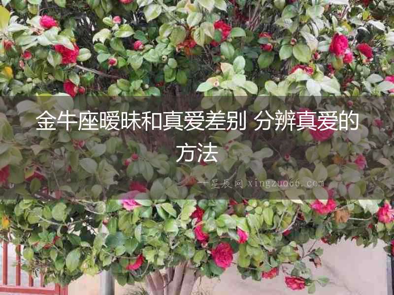 金牛座曖昧和真愛差別 分辨真愛的方法