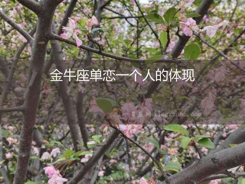 金牛座單戀一個人的體現