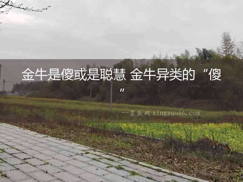 金牛是傻或是聰慧 金牛異類的“傻”