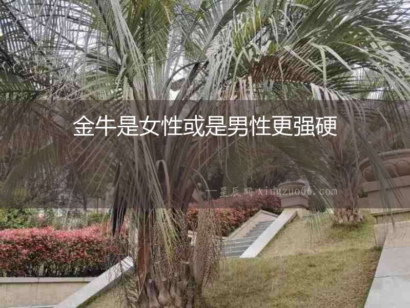 金牛是女性或是男性更強硬