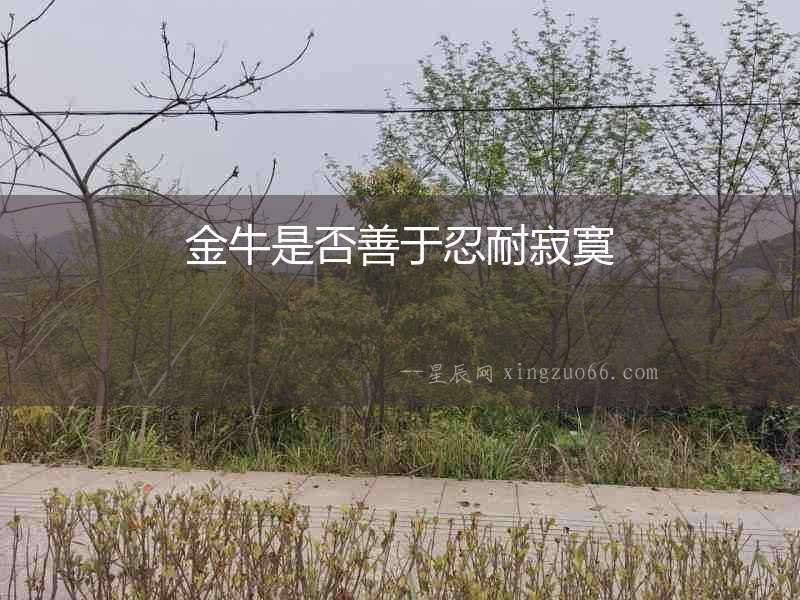 金牛是否善于忍耐寂寞