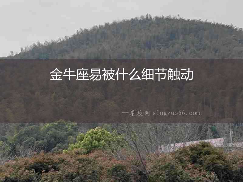 金牛座易被什么細節觸動