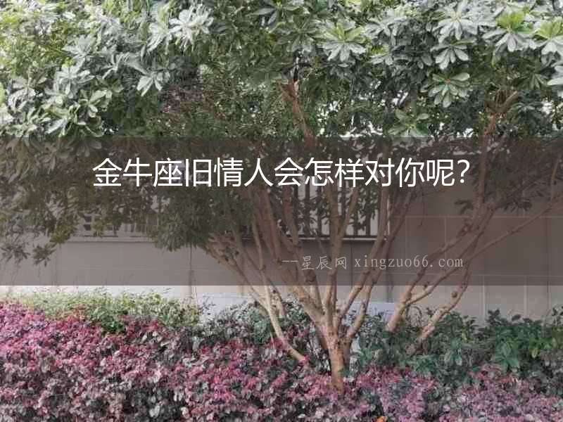 金牛座舊情人會怎樣對你呢？