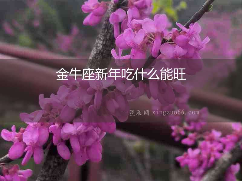 金牛座新年吃什么能旺