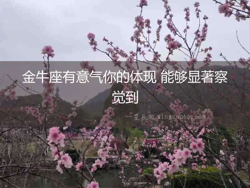 金牛座有意氣你的體現 能夠顯著察覺到