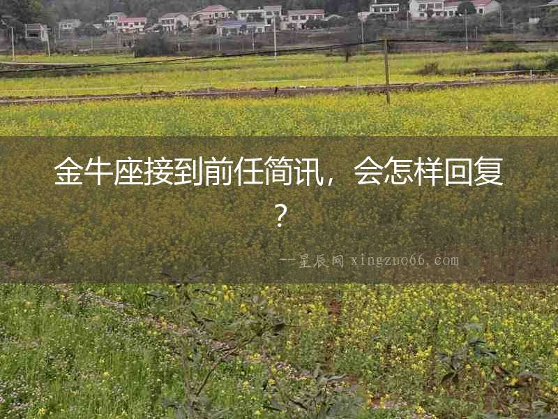 金牛座接到前任簡訊，會怎樣回復？