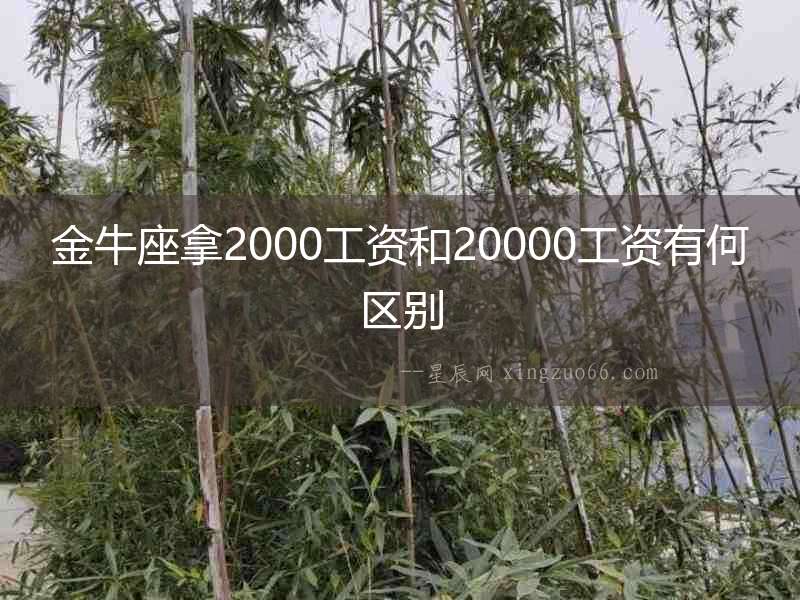 金牛座拿2000工資和20000工資有何區別