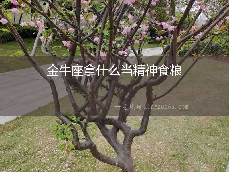金牛座拿什么當精神食糧