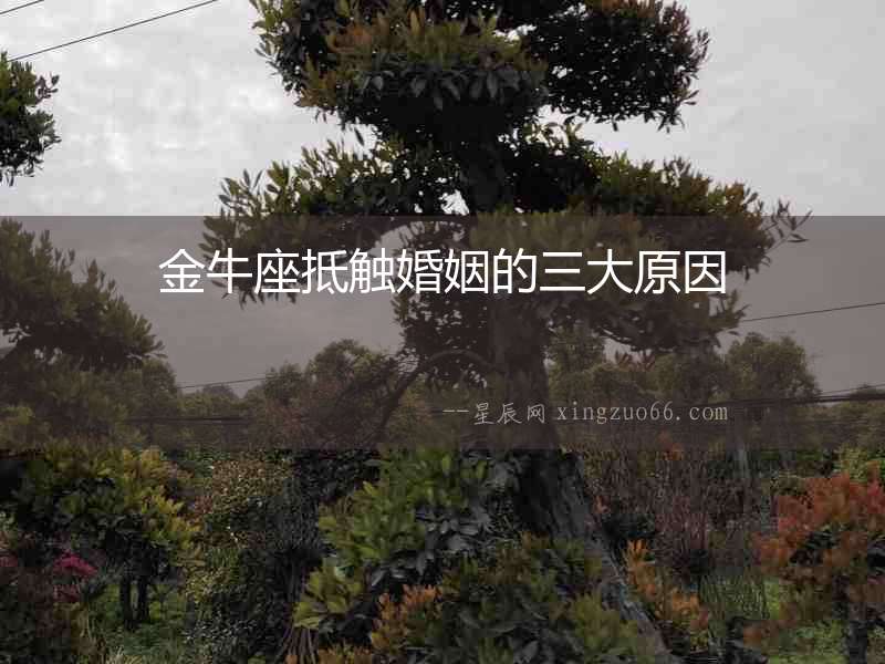 金牛座抵觸婚姻的三大原因