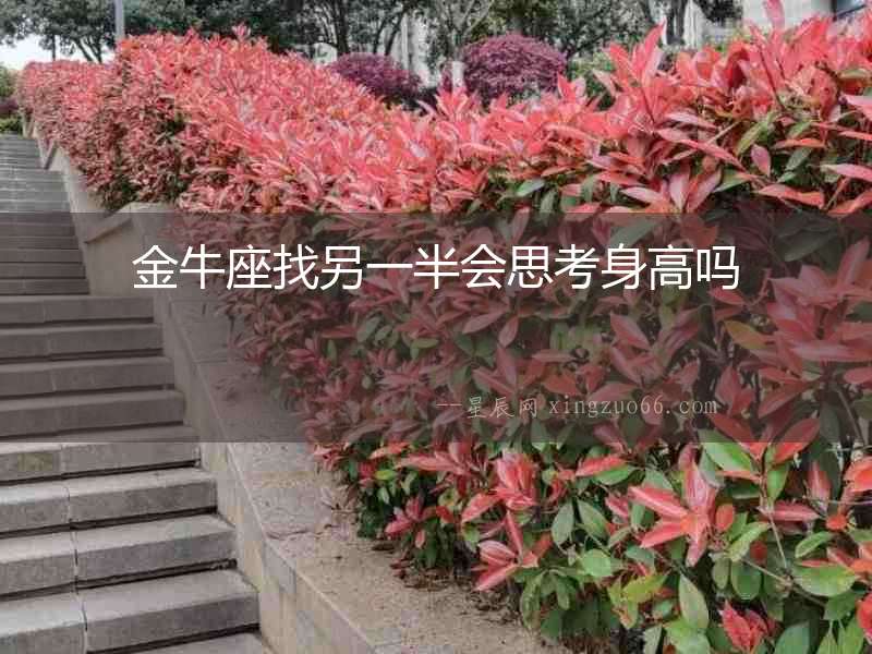 金牛座找另一半會(huì)思考身高嗎
