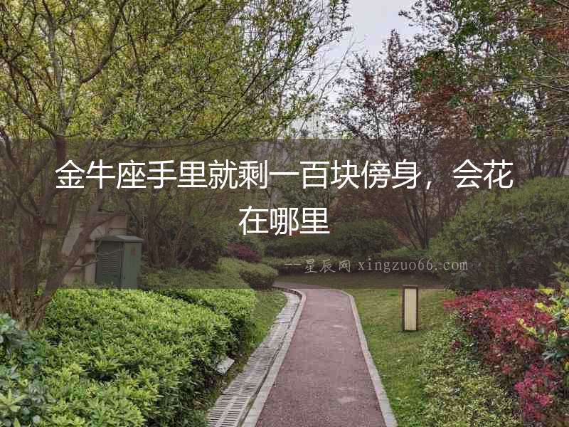 金牛座手里就剩一百塊傍身，會花在哪里