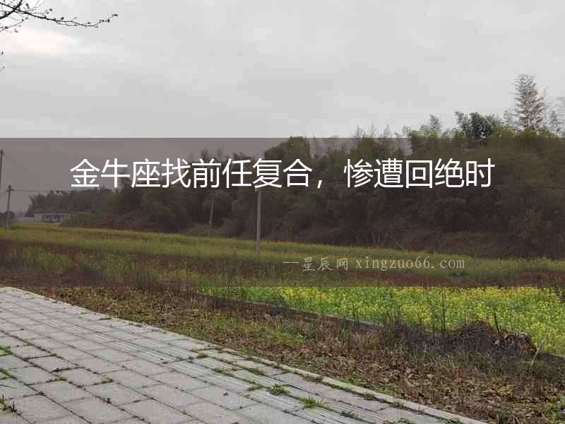 金牛座找前任復合，慘遭回絕時