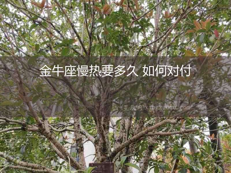 金牛座慢熱要多久 如何對付