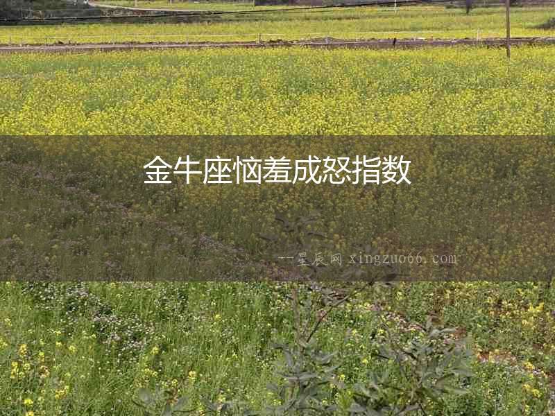 金牛座惱羞成怒指數
