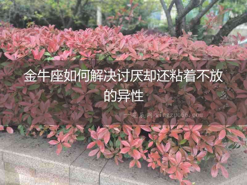 金牛座如何解決討厭卻還粘著不放的異性