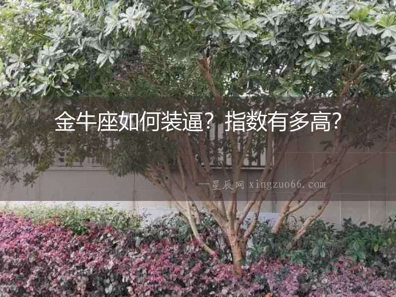 金牛座如何裝逼？指數有多高？