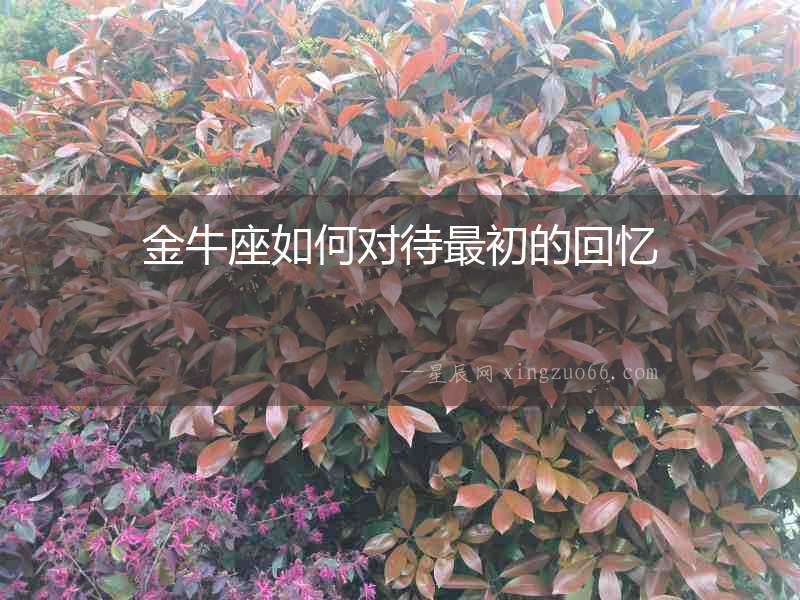 金牛座如何對待最初的回憶