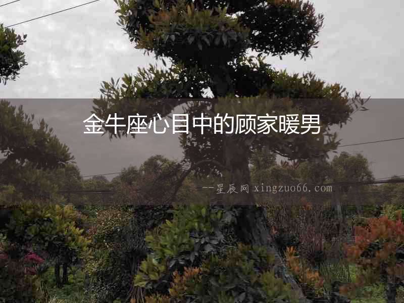金牛座心目中的顧家暖男