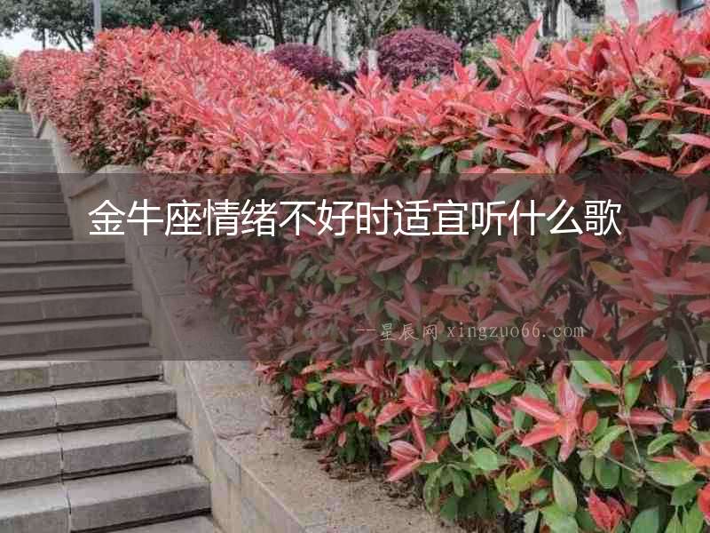 金牛座情緒不好時適宜聽什么歌