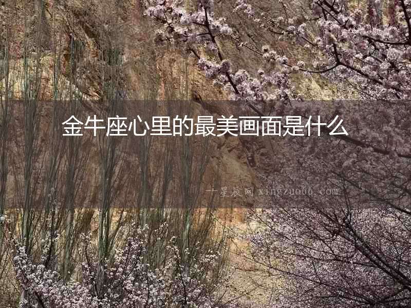 金牛座心里的最美畫面是什么