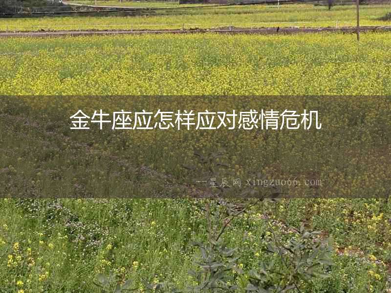 金牛座應怎樣應對感情危機