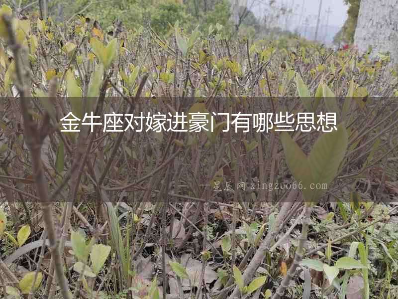 金牛座對(duì)嫁進(jìn)豪門(mén)有哪些思想