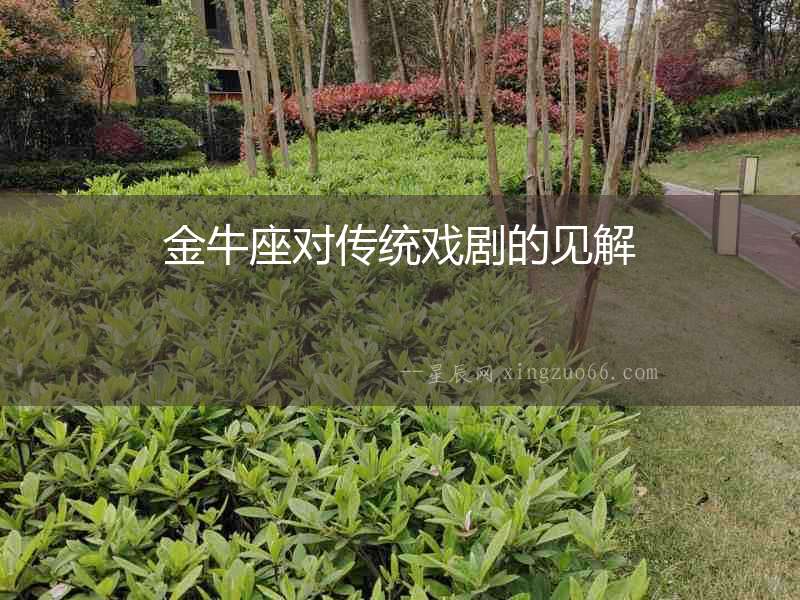 金牛座對傳統戲劇的見解
