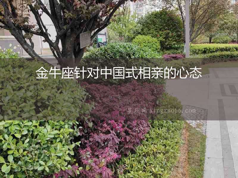 金牛座針對中國式相親的心態