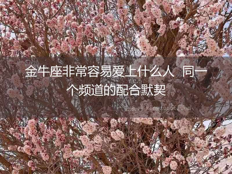 金牛座非常容易愛上什么人  同一個頻道的配合默契