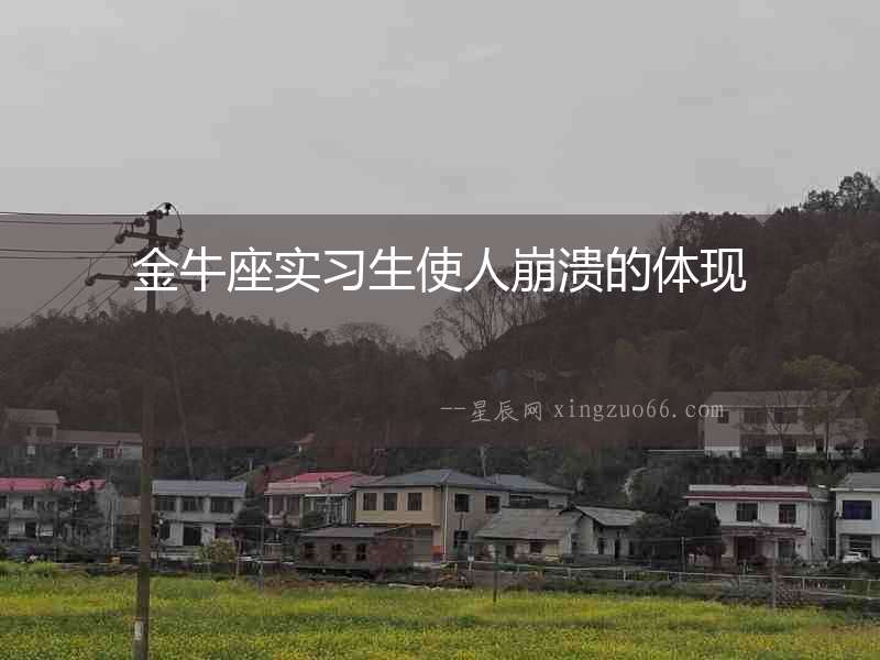 金牛座實習生使人崩潰的體現