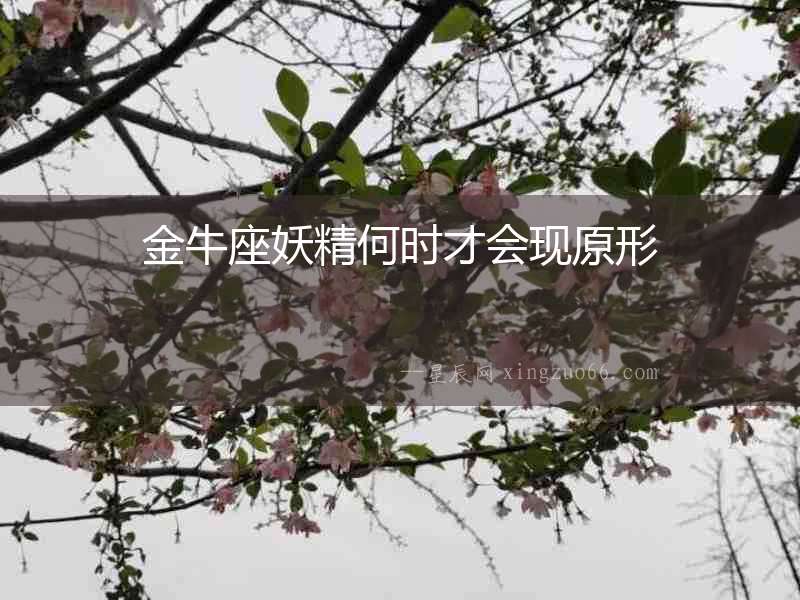 金牛座妖精何時才會現原形