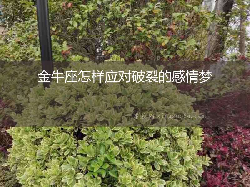 金牛座怎樣應對破裂的感情夢