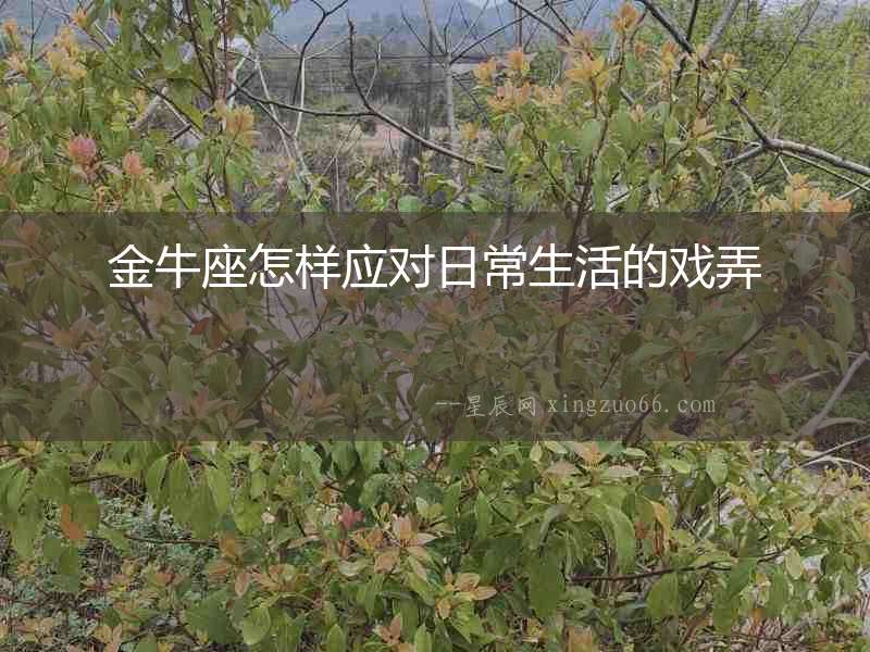 金牛座怎樣應(yīng)對(duì)日常生活的戲弄