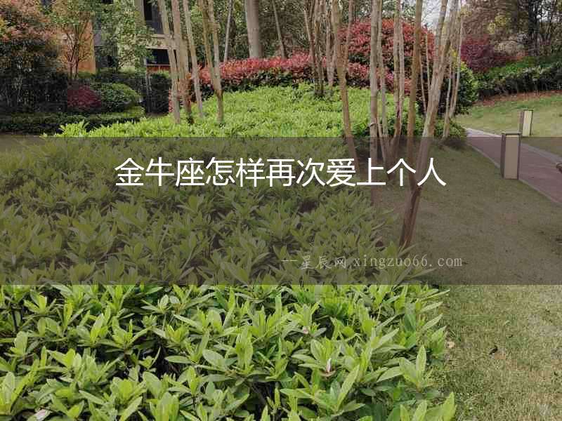 金牛座怎樣再次愛上個(gè)人