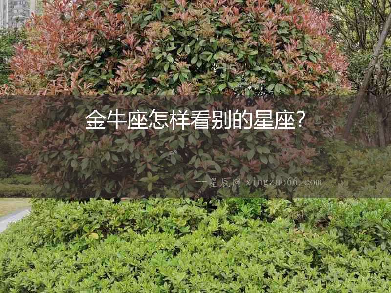 金牛座怎樣看別的星座？