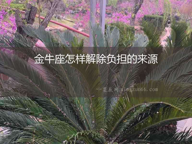金牛座怎樣解除負擔的來源