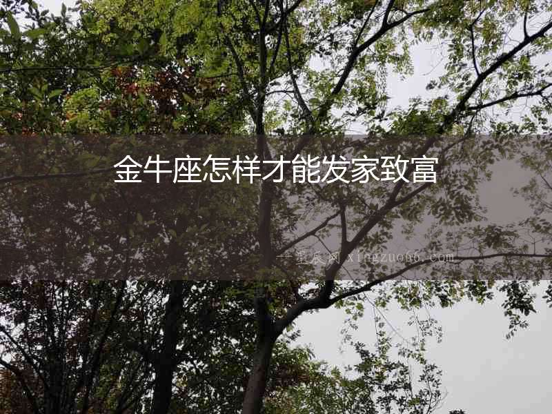 金牛座怎樣才能發(fā)家致富