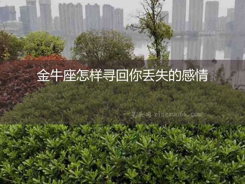 金牛座怎樣尋回你丟失的感情