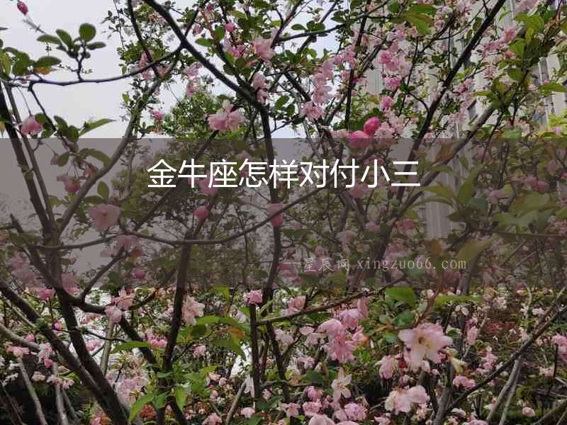 金牛座怎樣對付小三